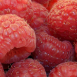 Himbeertraum